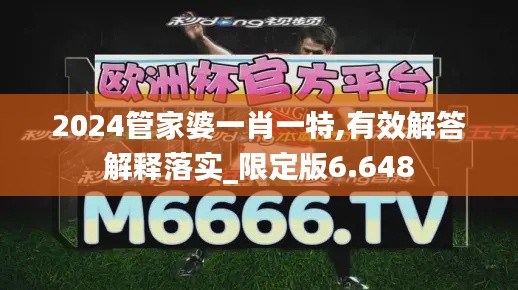 2024管家婆一肖一特,有效解答解释落实_限定版6.648