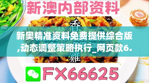 新奥精准资料免费提供综合版,动态调整策略执行_网页款6.791