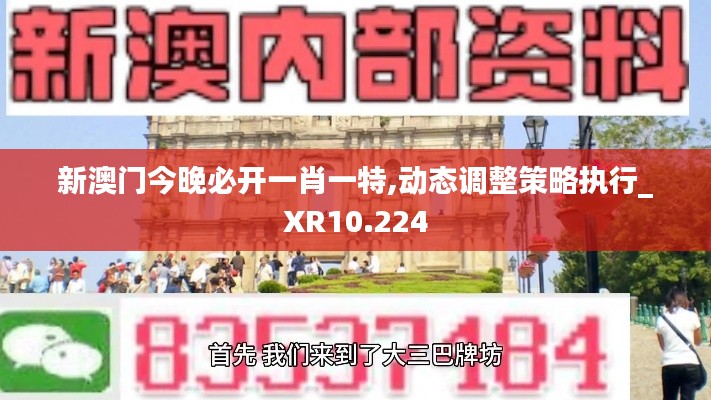 新澳门今晚必开一肖一特,动态调整策略执行_XR10.224