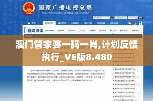 澳门管家婆一码一肖,计划反馈执行_VE版8.480