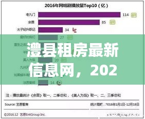 澧县租房最新信息回顾与展望，2024年12月18日回顾与未来展望