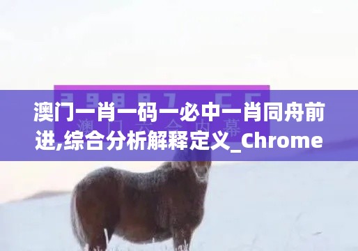 澳门一肖一码一必中一肖同舟前进,综合分析解释定义_Chromebook5.115