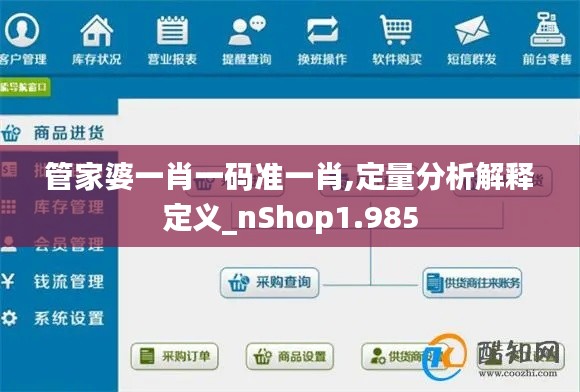 管家婆一肖一码准一肖,定量分析解释定义_nShop1.985