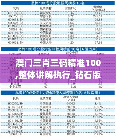 澳门三肖三码精准100,整体讲解执行_钻石版17.971