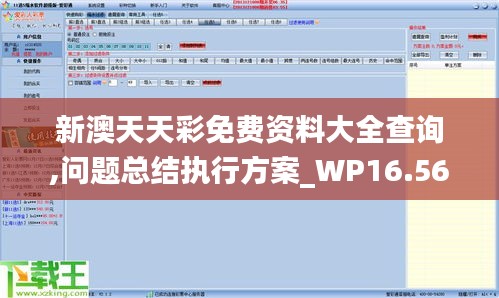 新澳天天彩免费资料大全查询,问题总结执行方案_WP16.567