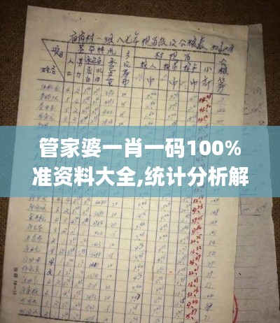 管家婆一肖一码100%准资料大全,统计分析解释定义_手游版9.175