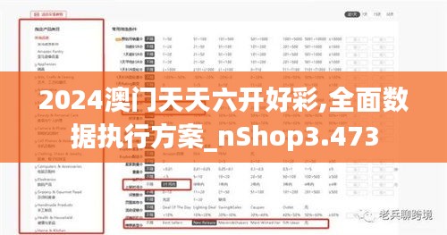 2024澳门天天六开好彩,全面数据执行方案_nShop3.473