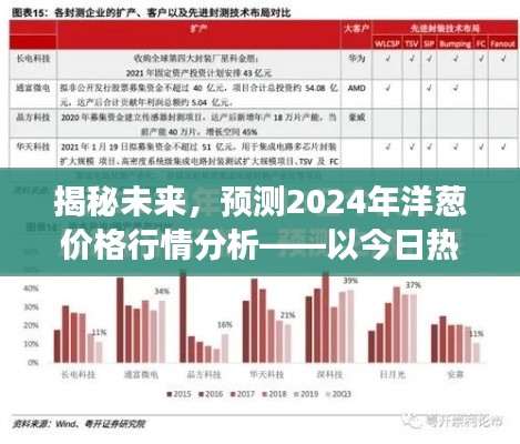 揭秘未来，热门洋葱市场2024年价格行情展望分析