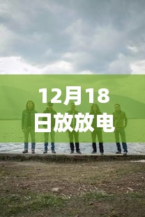 2024年12月19日 第8页