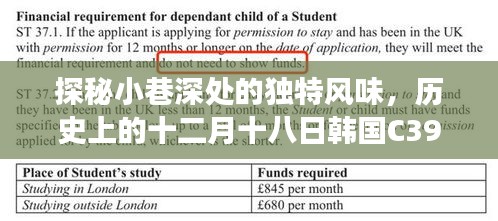 探秘小巷深处的独特风味，十二月十八日韩国C39签证新纪元下的隐藏特色小店故事