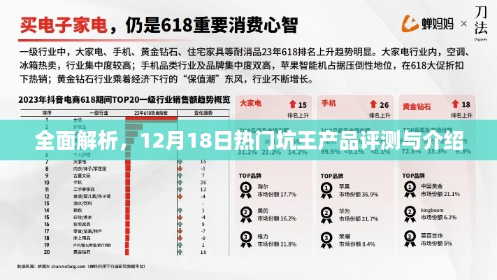 独家解析，热门坑王产品深度评测与介绍，带你洞悉产品细节