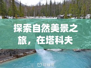 探寻塔科夫静谧之美，自然之旅与内心的平和喜悦——十二月实时在线人数背后的故事