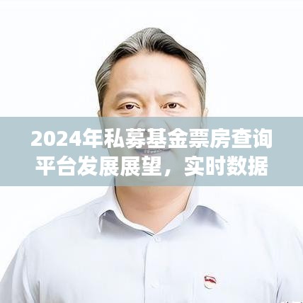 2024年私募基金票房查询平台展望，实时数据的双刃剑效应解析