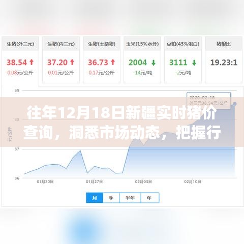 往年12月18日新疆实时猪价查询，洞悉市场动态，掌握行业趋势先机