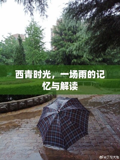 西青时光，雨的回忆与感悟