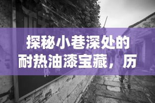 探秘小巷深处的耐热油漆宝藏，历年实时价格揭秘，12月18日一览无余