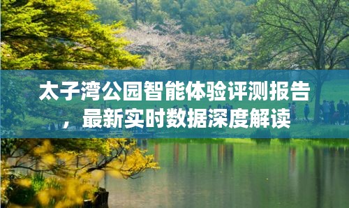 太子湾公园智能体验深度评测报告，实时数据解读