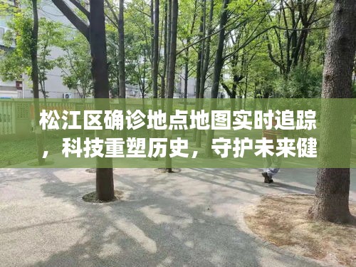 松江区确诊地点地图追踪，科技守护健康，重塑历史与未来的防线