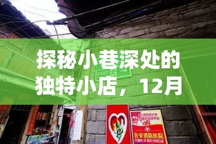 探秘小巷深处的独特小店与实时定位背后的法律迷雾