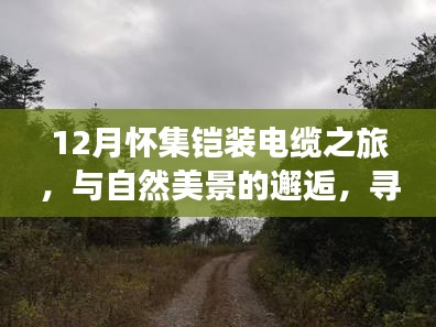 12月怀集铠装电缆之旅，与自然美景的邂逅，探索内心宁静之道