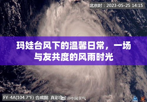 玛娃台风下的温馨时光，与友人共度风雨的日常