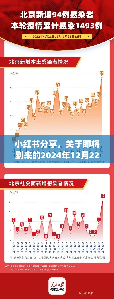 小红书分享，深度解读北京疫情防护级别调整与即将到来的2024年12月22日防疫措施