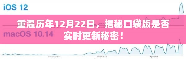 揭秘历年12月22日口袋版更新秘密，实时更新真相揭晓！