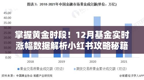 掌握黄金时段！小红书基金攻略秘籍，揭秘十二月基金实时涨幅数据解析