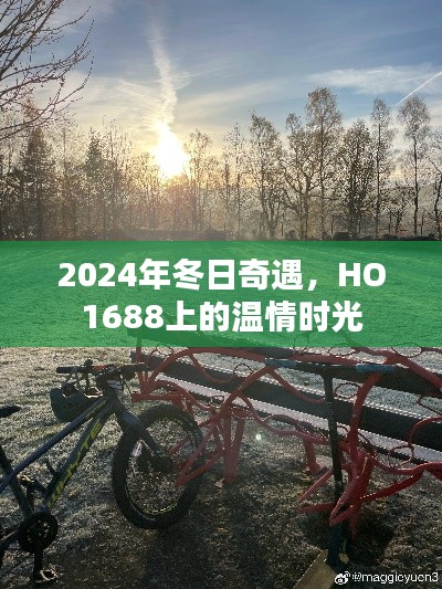 HO1688冬日奇遇，温情时光之旅