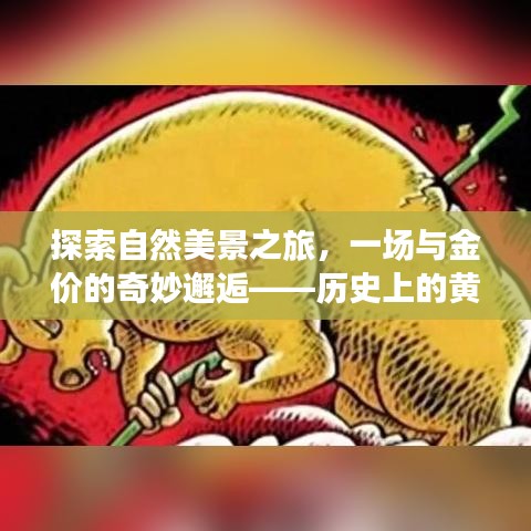 黄金之旅，自然美景与报价的奇妙邂逅