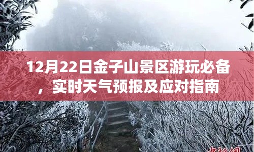 12月22日金子山景区游玩攻略，实时天气预报与应对指南