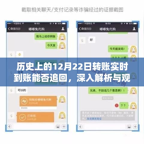 深入解析，历史上关于转账实时到账能否追回的观点与阐述