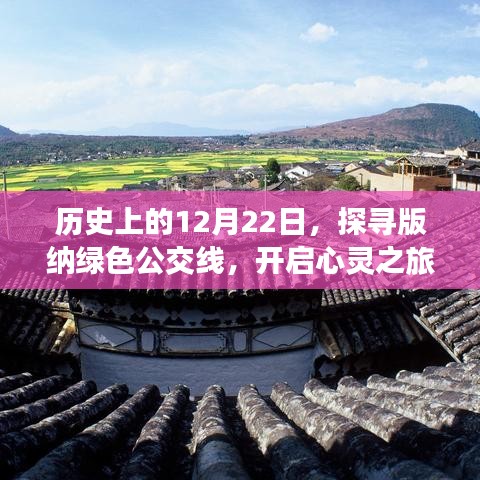 探寻历史中的绿色公交线，西双版纳心灵之旅启程