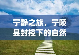 宁陵县封控下的自然美景探索之旅，宁静之旅的别样体验