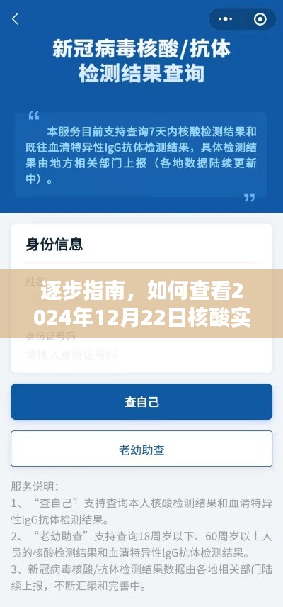 逐步指南，如何查看2024年12月22日核酸实时小程序操作教程