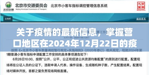 营口地区疫情实时指南，掌握疫情最新动态，了解2024年12月22日疫情实时情况