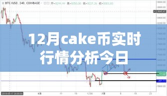 12月cake币最新行情分析与今日趋势