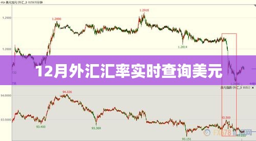 12月美元外汇汇率实时查询