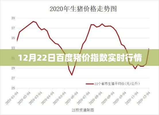 百度最新猪价指数行情（实时更新）