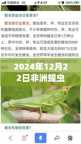 非洲蝗虫灾害蔓延，实时动态与应对策略