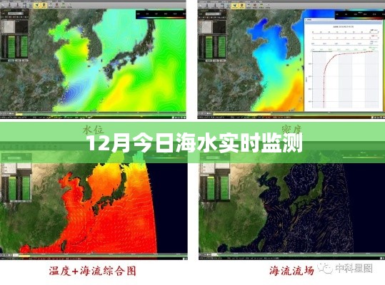 海水实时动态监测报告，今日数据解读