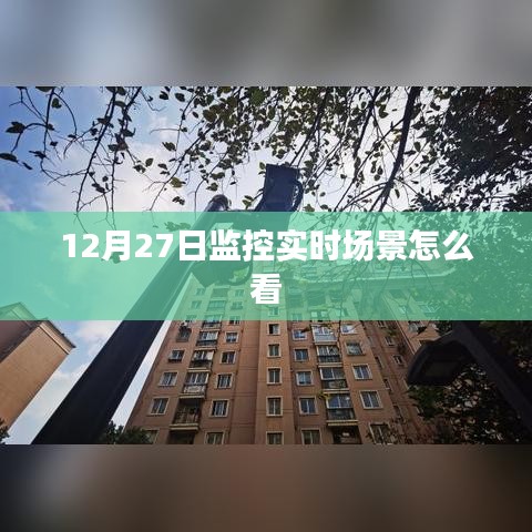 监控实时场景查看指南，12月27日操作教程