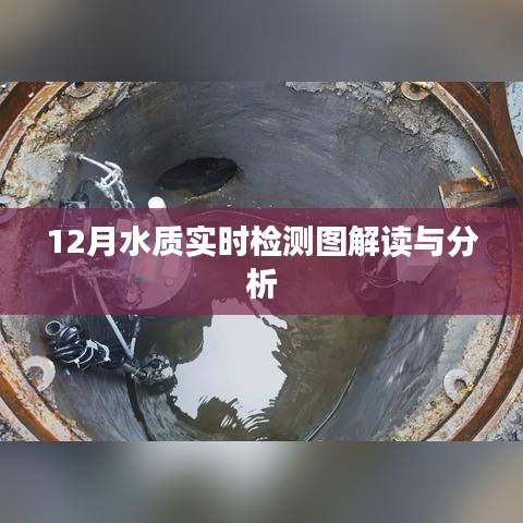 12月水质实时检测图解析与解读报告