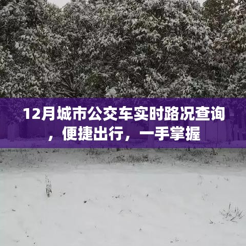 城市公交实时路况查询，便捷出行信息掌握