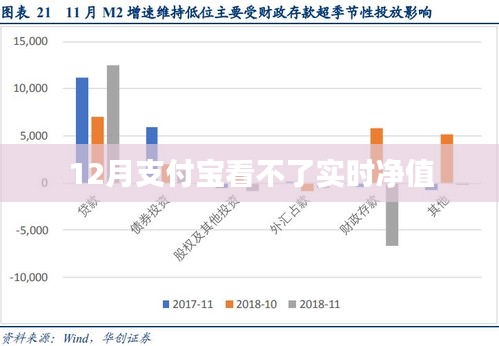 支付宝实时净值查看问题解析