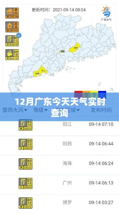 广东今日天气实时查询报告