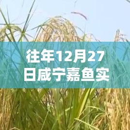 咸宁嘉鱼往年12月27日实时天气概况