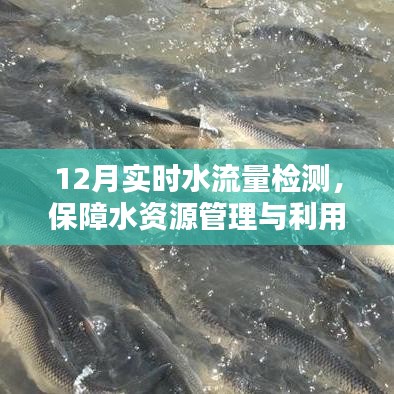 实时水流量检测，水资源管理与高效利用的关键环节