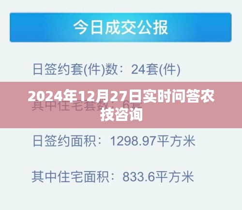 农技咨询实时问答，2024年12月27日解答速递