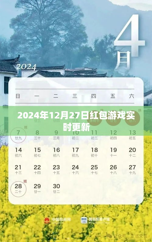 2024年红包游戏实时更新来袭！